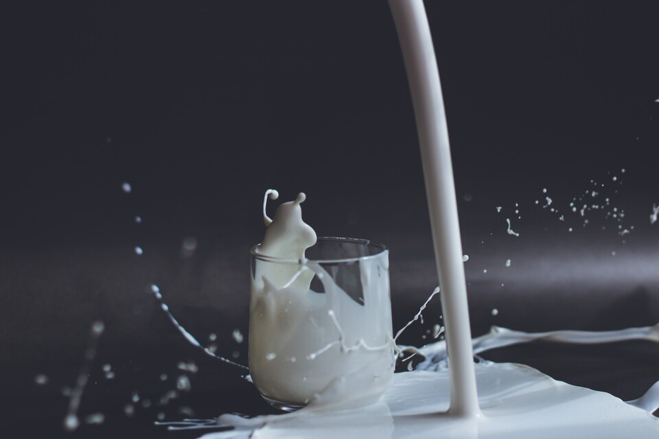 (Image: Anita Jankovic - Unsplash)
