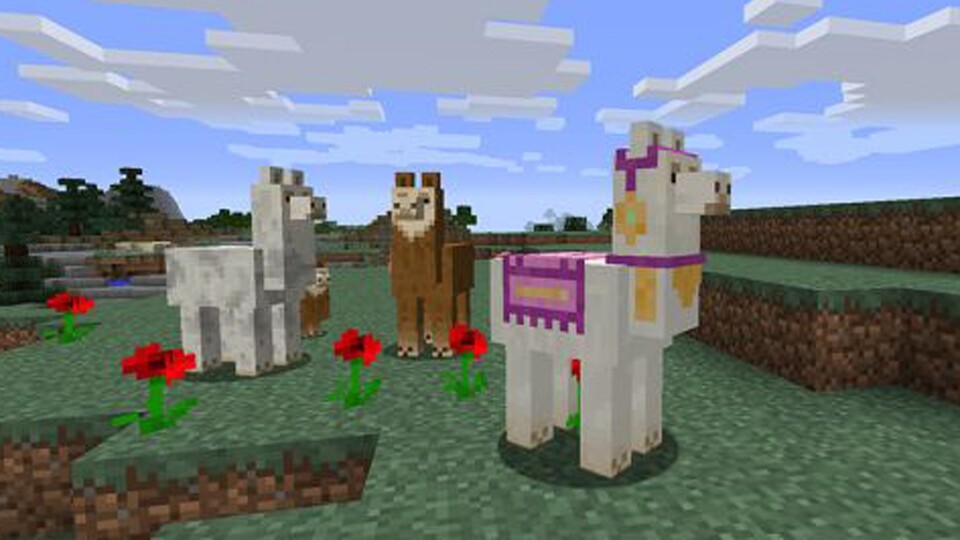Dank dem Update 1.11 sind nun auch Lamas in Minecraft zu finden. Doch Vorsicht, die süßen Tiere können spucken.