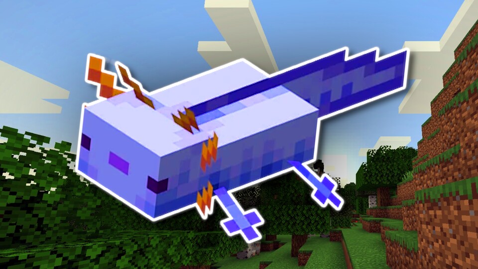 Der blaue Axolotl ist Hauptprotagonist in einem verrückten Minecraft-Rekordversuch.