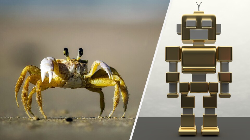 Der kleinste fernlenkbare Roboter der Welt erinnert an eine Krabbe und läuft seitwärts.