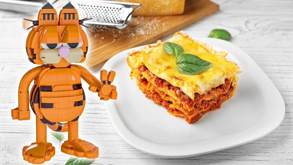 »Kater sind wie Lasagne! Sie haben Schichten.«