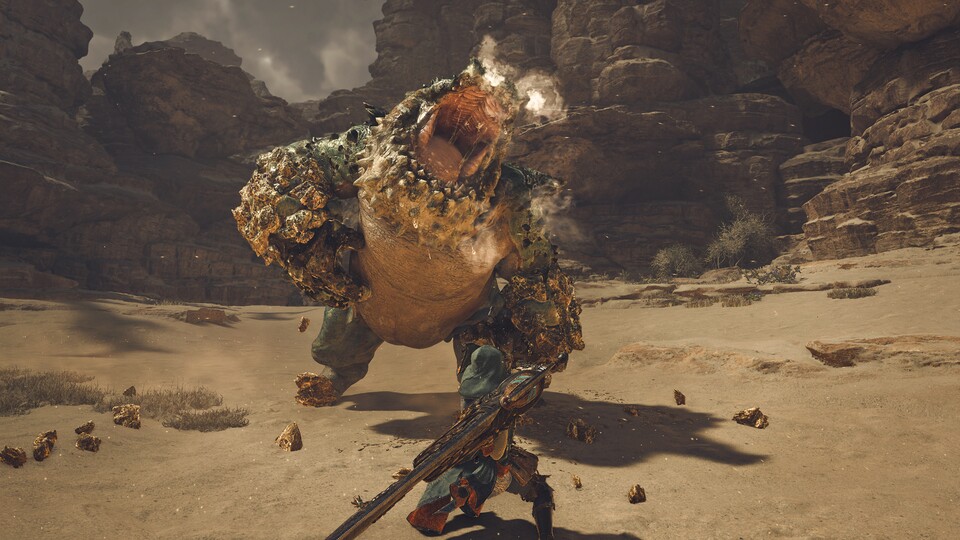 Der Chatacabra wäre in vielen anderen Spielen zumindest ein Zwischenboss, in Monster Hunter ist er mein erster richtiger Gegner.