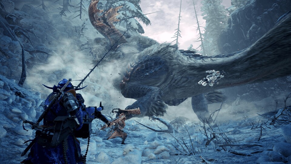 Passend zur kalten Jahreszeit, gehen Spieler in Iceborne auf die Jagd in frostigen Gefilden.