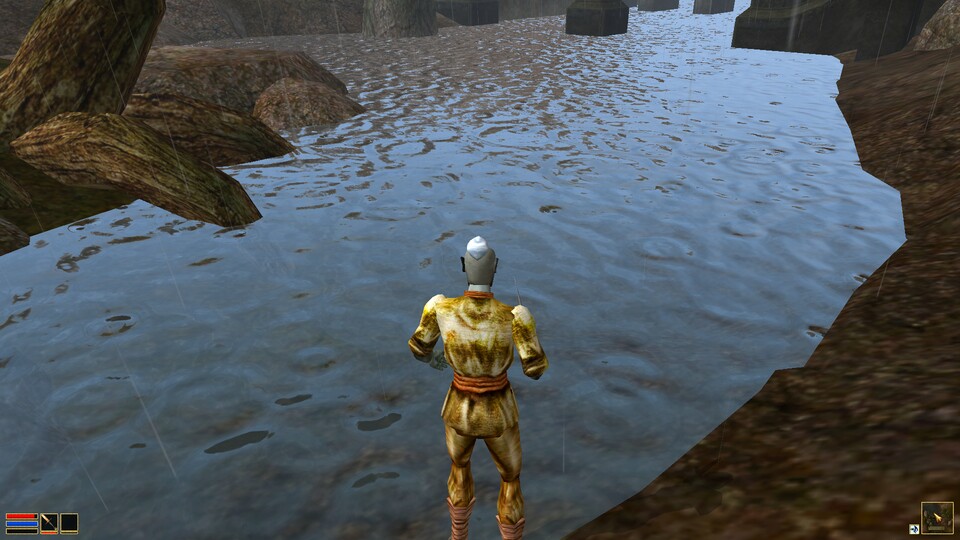 Das beeindruckende Wasser aus Morrowind.