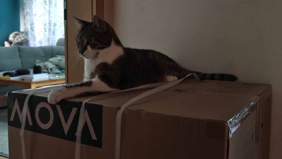 Der erste Härtetest ist bestanden: Nita inspiziert den Karton der MOVA LR10 Prime direkt nach der Lieferung – und ist sichtlich zufrieden.