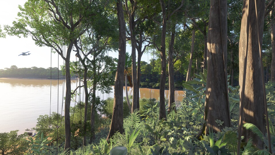 Microsoft Flight Simulator 2024 Amazonas