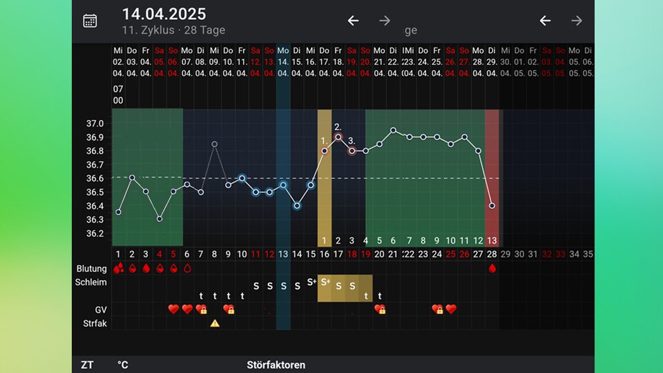 So sieht ein fertig eingetragener Beispielchart für einen Zyklus in der MyNFP-App aus.