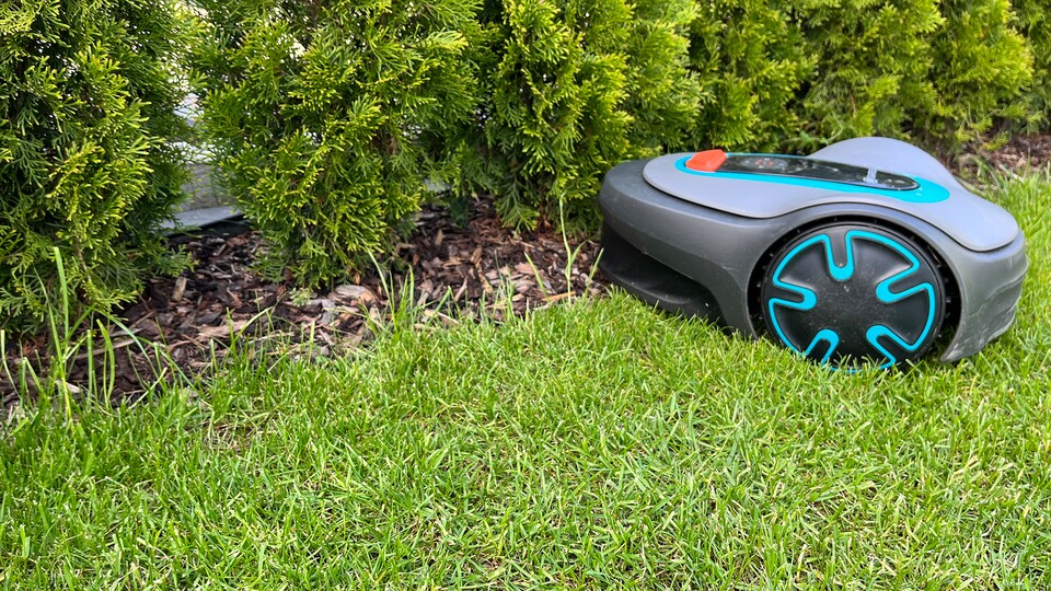 Für den Rasenkantenschnitt muss der Roboter weit über die Kante fahren. Habt ihr genügend Platz, ist das Ergebnis zufriedenstellend.