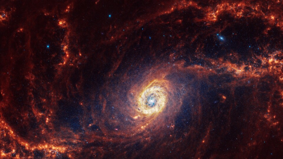 Das Zentrum dieser Galaxie wirkt wie ein gold-blauer Edelstein. (Quelle: NASA, ESA, CSA, STScI, Janice Lee (STScI), Thomas Williams (Oxford), and the PHANGS team)