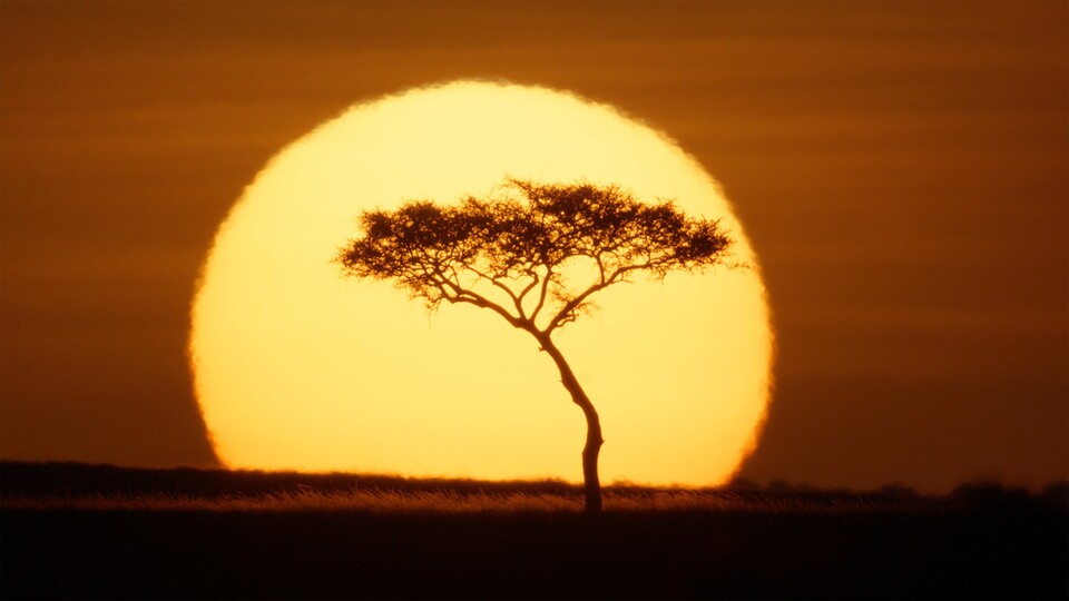 Es sind Naturaufnahmen, wie sie wohl nur in Orten wie Kenia entstehen können. (Bildquelle: National Geographic)