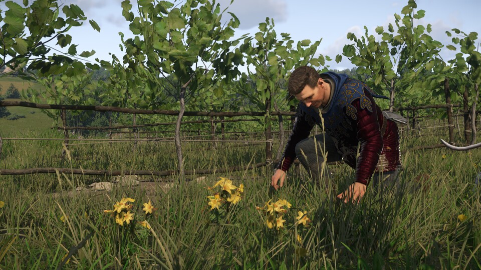 Call of Unkraut – vor Heinrich ist kein ungewolltes Pflänzchen sicher!