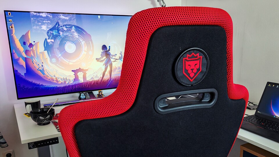 Das Löwenemblem ist magnetisch befestigt; ihr könnt es bei Bedarf einfach abziehen. (Bild: Maxe S., GameStar)