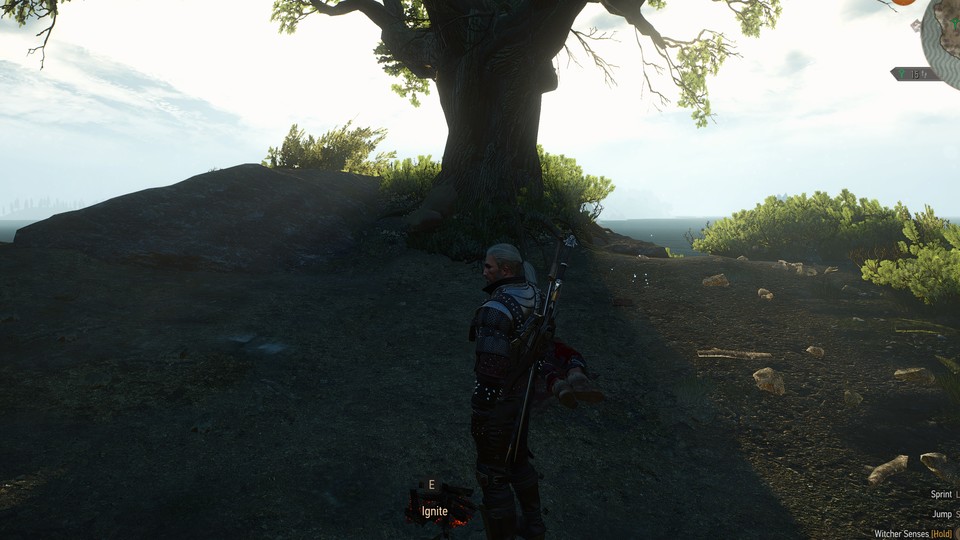 The Witcher 3: AO aus
