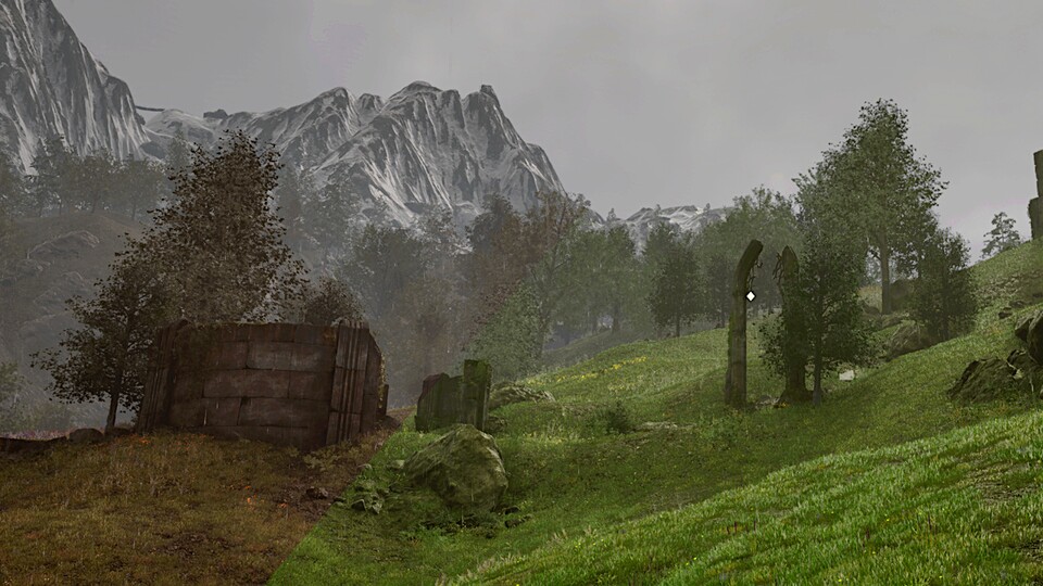 Braun? Grün? Dank einer Mod habt ihr im Oblivion-Remaster jetzt die freie Wahl.