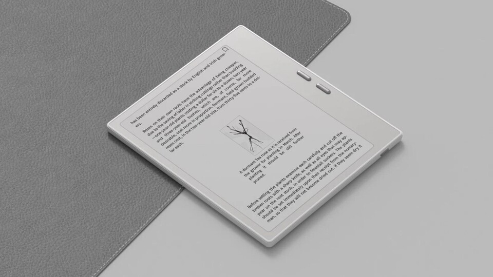 Der E-Reader hat einen 7-Zoll-Bildschirm und physische Tasten zum Blättern. (Bildquelle: Onyx)