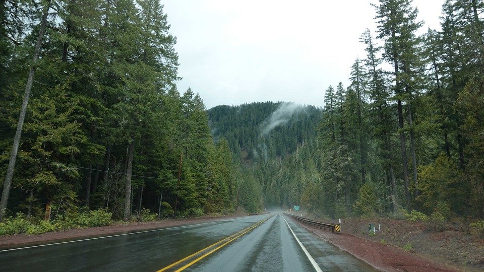 Dichte Wälder, Regen und Berge im Nebel – und zum Glück ohne Freaker auf der Straße. Die Fahrt zum Studio fühlte sich tatsächlich fast an wie im Spiel. (Foto: Jochen Färber / Sony)