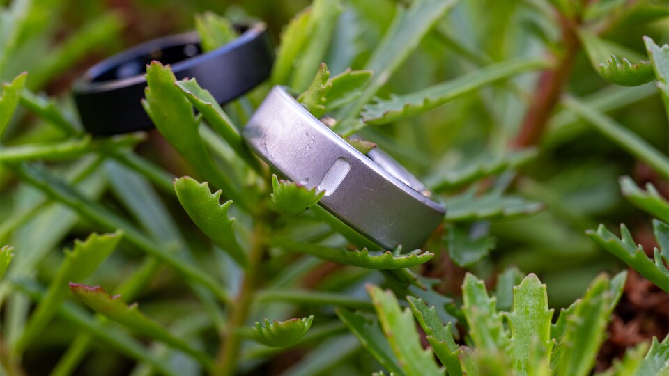 Sogar Pflanzen würden Oura tragen. Oder so. Aber ihr seht, schwer ist das Ding definitiv nicht.