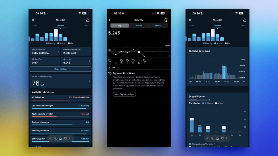 In Bezug auf die Schritte bietet Oura ebenfalls eine detaillierte Ansicht.