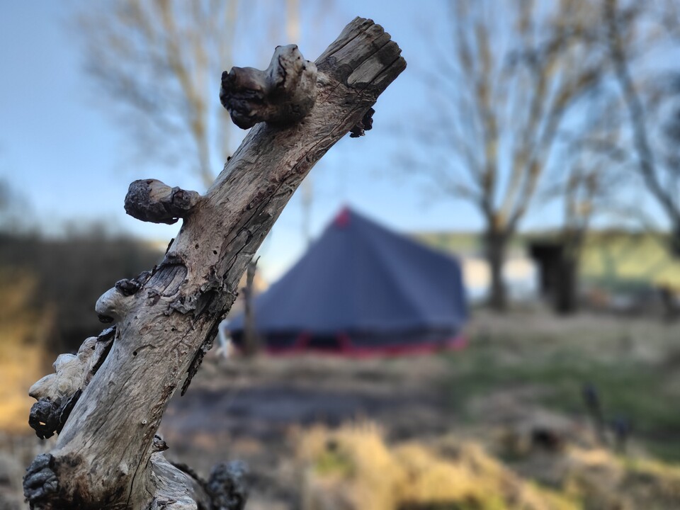 Black Beauty: Das neue Zelt ist um einen Meter im Durchmesser gewachsen und holla, das macht sich positiv bemerkbar!