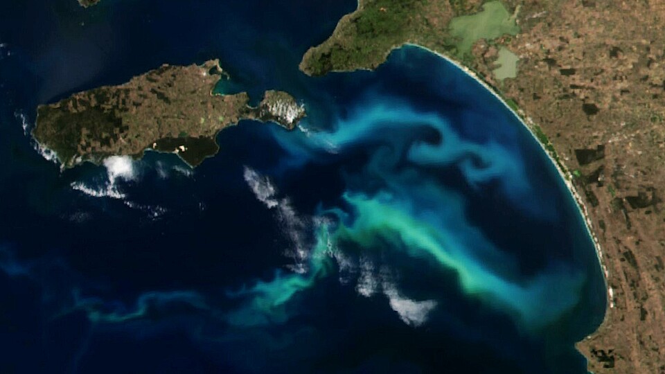 Organic matter makes the sea on Australia's Bonny Coast appear partly green.  (Image: NASA EO Explorer)