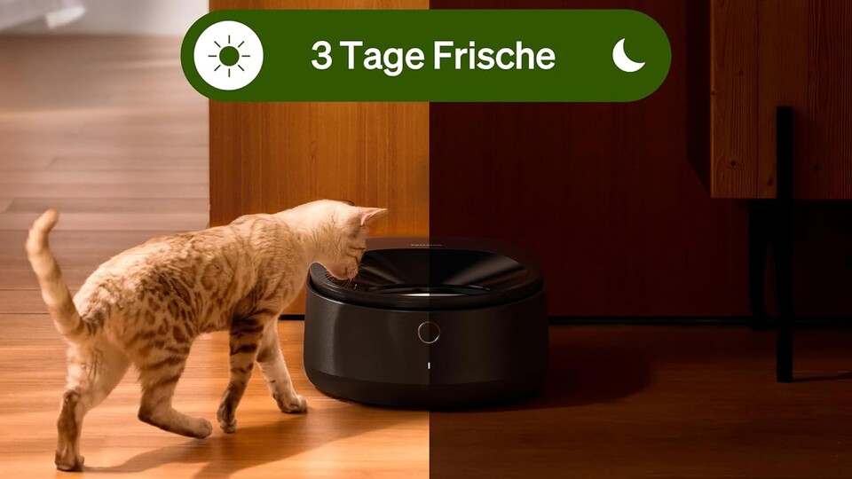 Kühlschrank für Katzen: Der smarte Futterautomat von Petlibro hält das Nassfutter für euren Vierbeiner bis zu drei Tage frisch!