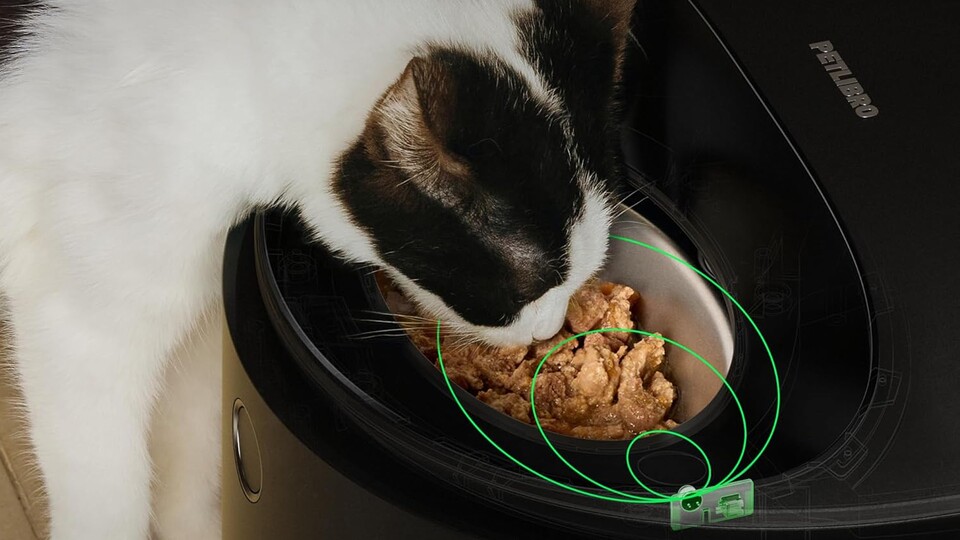 Thanks to sensors, your four-legged friends will never be pinched while eating their food.