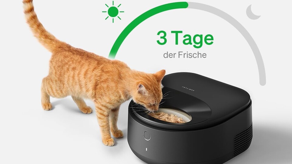 Maximum freshness for 3 days