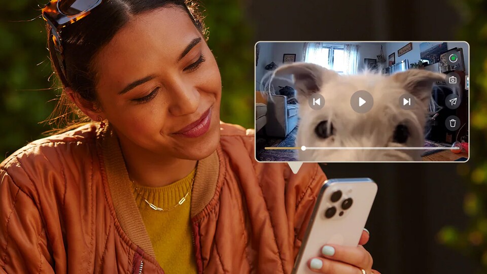 Mithilfe der intuitiven App von Petlibro könnt ihr jederzeit mit euren Vierbeiner in Kontakt treten und allerhand süße Clips aufzeichnen.