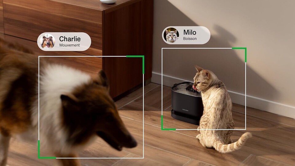 Die Haustierkamera von Petlibro erkennt bis zu fünf Haustiere gleichzeitig und zeichnet deren Aktivitäten und Verhaltensmuster präzise auf.