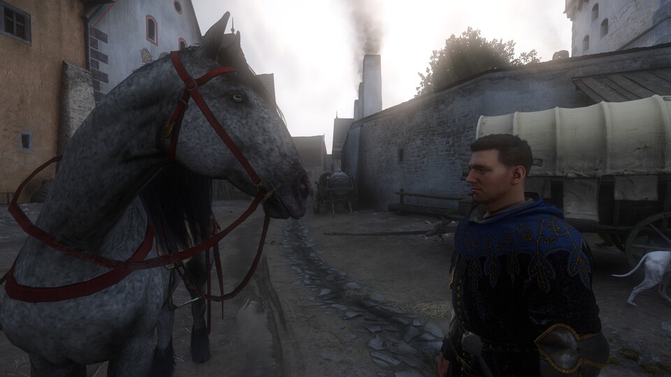 Wilhelmine ist das Lieblingspferd von Kollegin Steffi und ein echtes Arbeitstier.