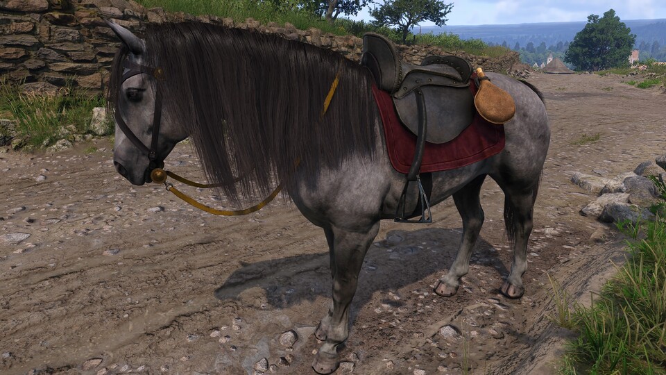 Wenn ihr damit leben könnt, dass die Leute euer Pferd als hässlich bezeichnen, dann ist Pebbles eine gute Wahl.