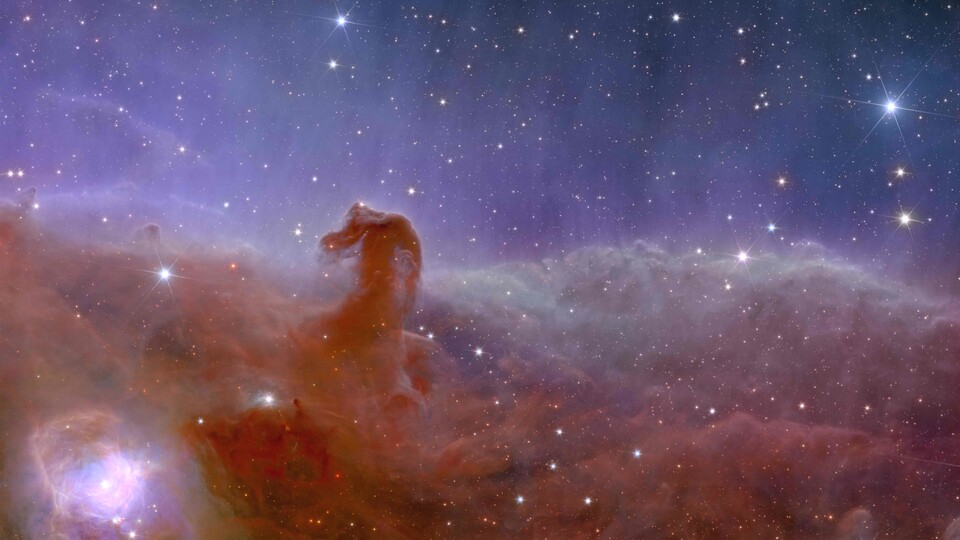 Der Pferdekopfnebel ist eine Dunkelwolke im Sternbild Orion. (Bildquelle: ESA)