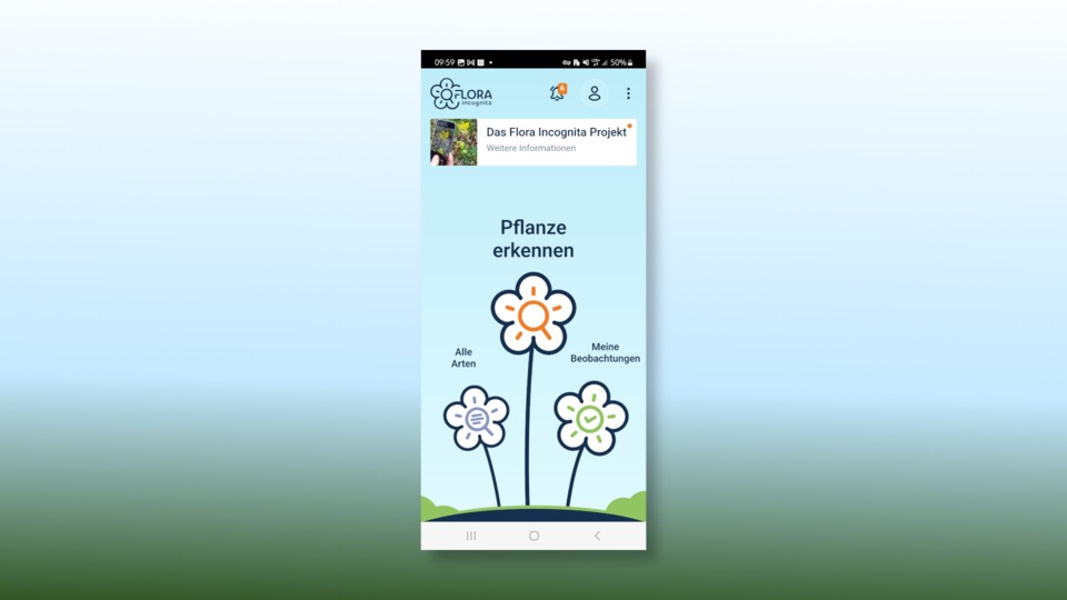 Beste App zum PflanzenBestimmen 6 Apps im Test