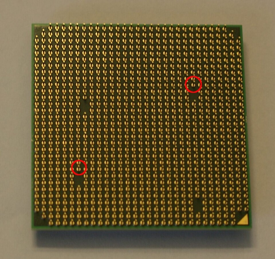 Die rot eingerahmten Pins verhindern das Einsetzen der AM2+-CPUs ind den Sockel AM3.