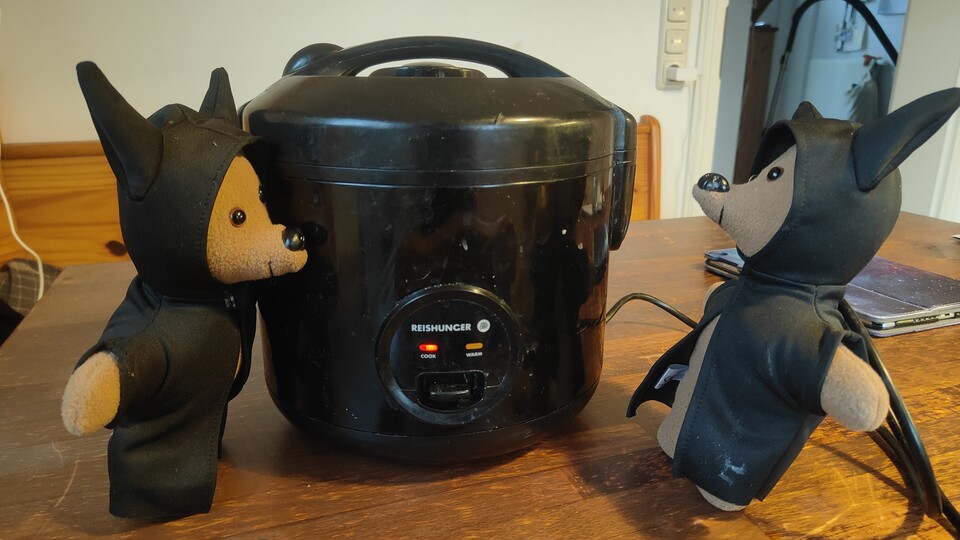 Monsieur Piet ist ebenfalls begeistert. Sogar doppelt begeistert, die vermehren sich offenbar gut mit einer Reis-Diät.