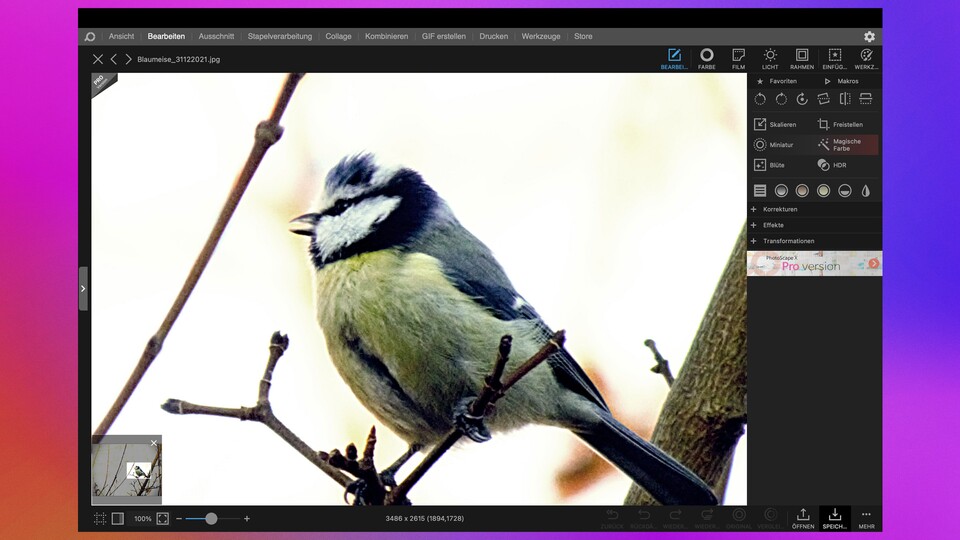 Überprüft ihr eure Fotos auch immer auf Pixelebene? Ich habe mir das abgewöhnt. (Bildquelle: Duy Linh DinhGameStar Tech)