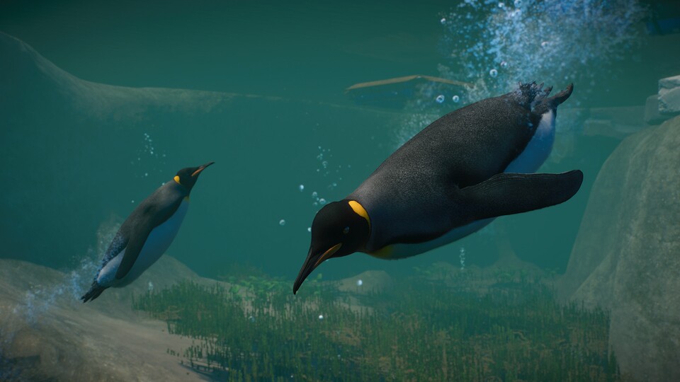 Viele Tierliebhaber wünschten sich den Pinguin als Zoo-Klassiker schon zum Release, das Aquantic Pack reicht ihn nun nach.
