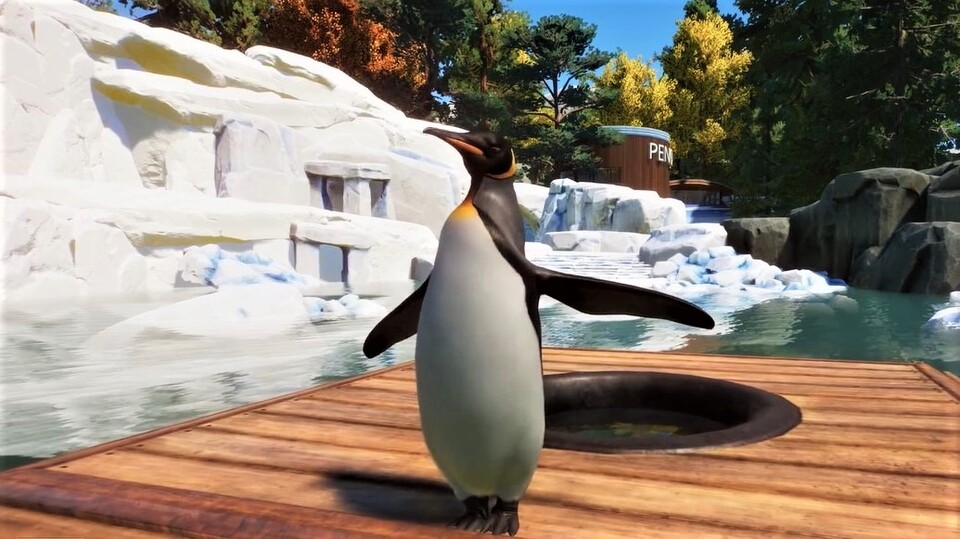Planet Zoo: Trailer mit Pinguinen und Riesenottern zum neuen Aquatic-DLC