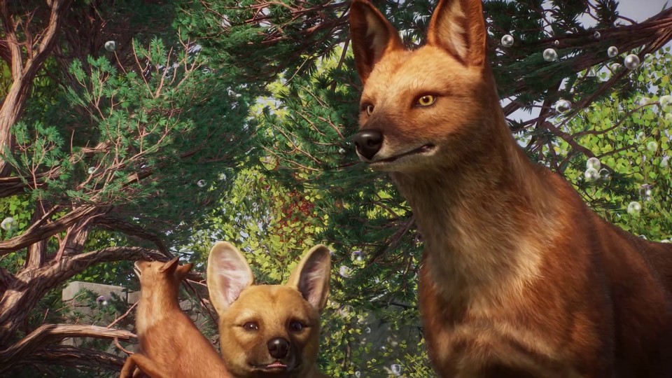 Planet Zoo - Trailer zum neuen DLC zeigt niedliche Tiere aus Südostasien