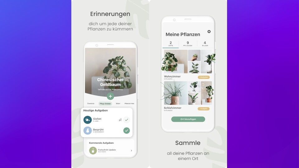 Meine Pflanzen können aufatmen! Planta hilft meinem grünen Daumen auf die Sprünge.