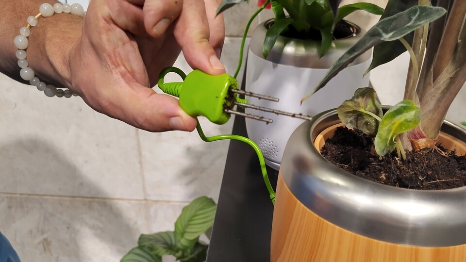 In der Blumenerde steckt ein Sensor. (Bildquelle: Ursula DemlingGameStar Tech)