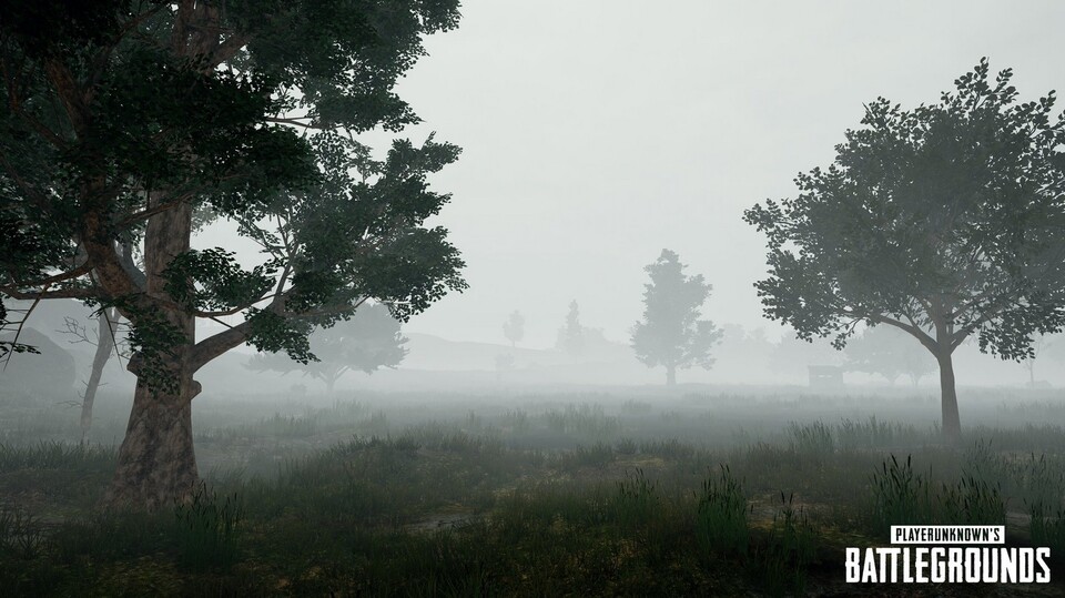 Playerunknown's Battlegrounds bietet bald spannende Gefechte im Nebel.