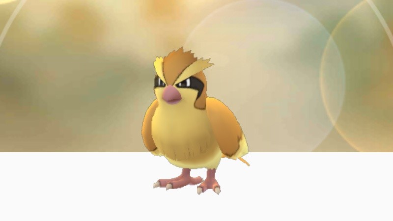 Kam bisher in Pokémon Go recht häufig vor, war aber unbeliebt: Taubsi. Das ändert sich ab sofort.