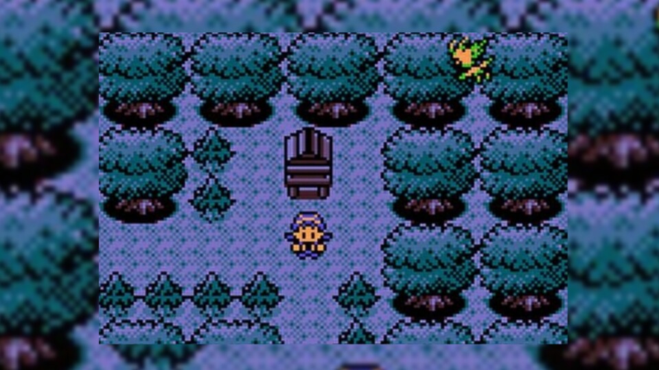 Schon als Kind wollte ich immer bunte Haare wie meine Pokémon-Trainerin haben. Den Traum habe ich mir dann erst mit Mitte 20 erfüllt.