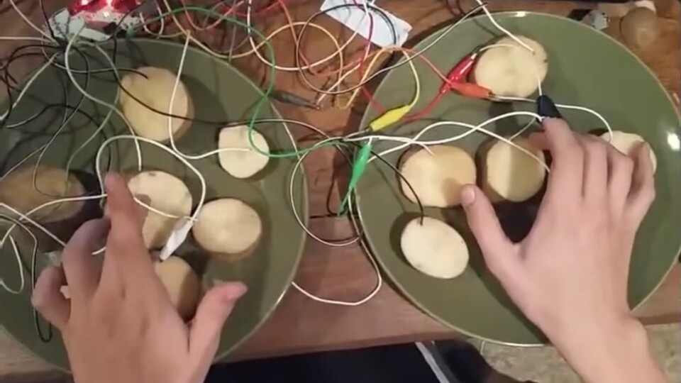 Potato Controller für Skyrim: 12 Kartoffelscheiben und ein Makey Makey.