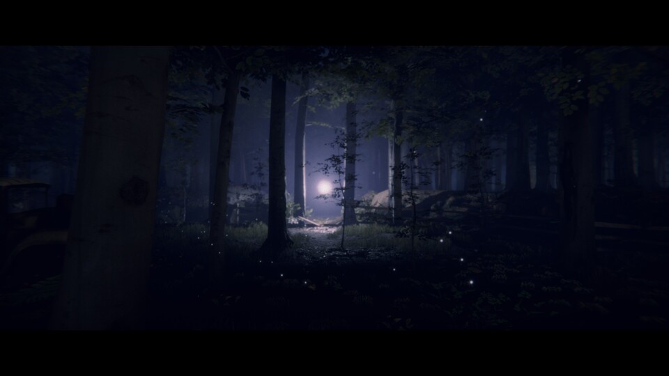 Mysteriöse Lichter locken mich immer wieder in Dakotas Alpträume.