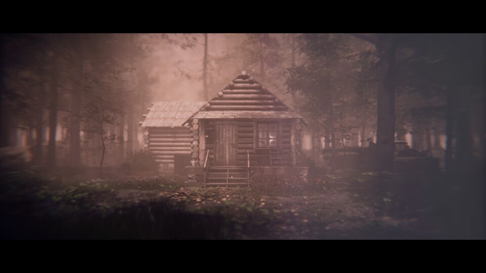 Eine kleine Hütte mitten im ruhigen Wald. Eigentlich ein toller Wochenend-Trip ... wenn da nicht die komischen Geräusche wären ...