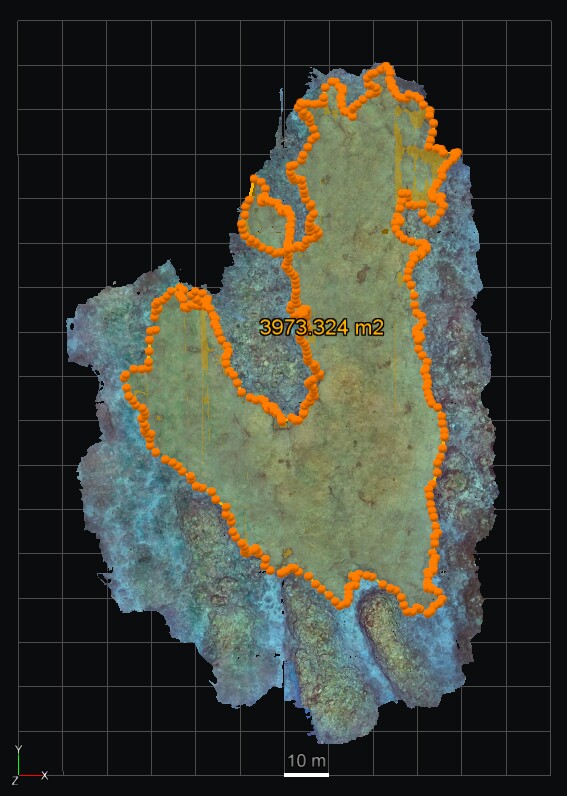 Eine kartografische Darstellung der Rekordkoralle.
(Bildquelle: QUTSerena Mou)