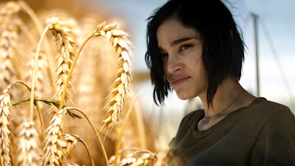 Ein gigantisches Weizenfeld mutierte beim Dreh von Rebel Moon zur Mammutaufgabe. Bildquelle: Netflix