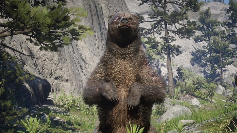 Der Grizzlybär in Red Dead Online ist eine furchterregende (und finanziell lohnende) Kreatur.